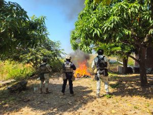 Desmantelados 4 campamentos clandestinos en Buenavista: SSP.<br>