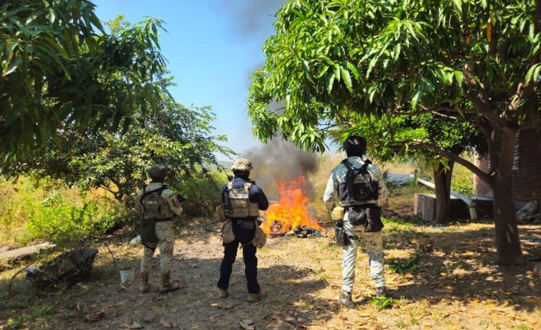 Desmantelados 4 campamentos clandestinos en Buenavista: SSP.