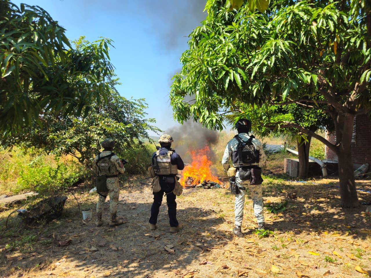 Desmantelados 4 campamentos clandestinos en Buenavista: SSP.