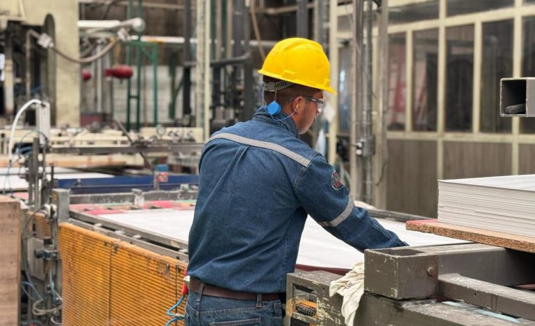 Arauco elevará producción nacional de MDF desde Michoacán: Sedeco.