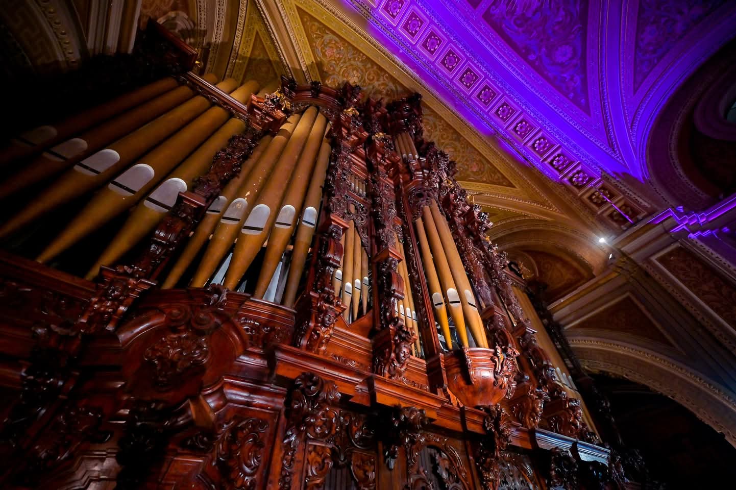 Secum invita a la gala de inauguración del Festival de Órgano.