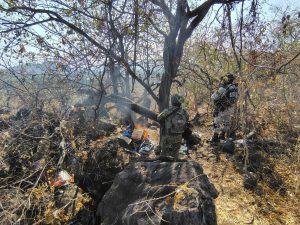 SSP desactiva 15 artefactos explosivos y destruye campamento clandestino en Apatzingán