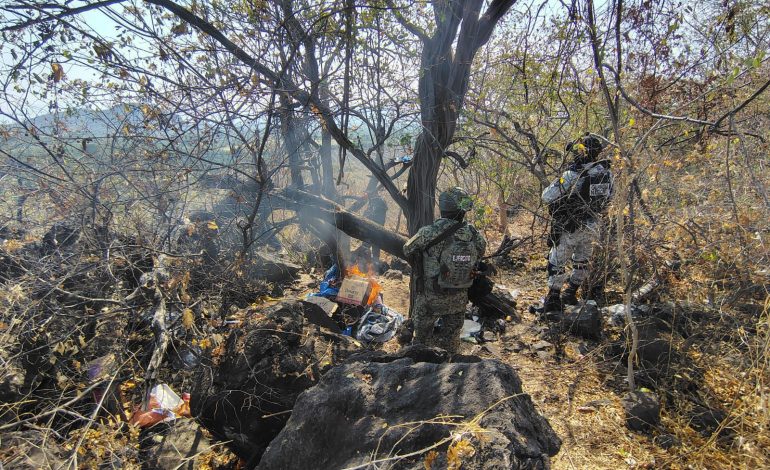 SSP desactiva 15 artefactos explosivos y destruye campamento clandestino en Apatzingán