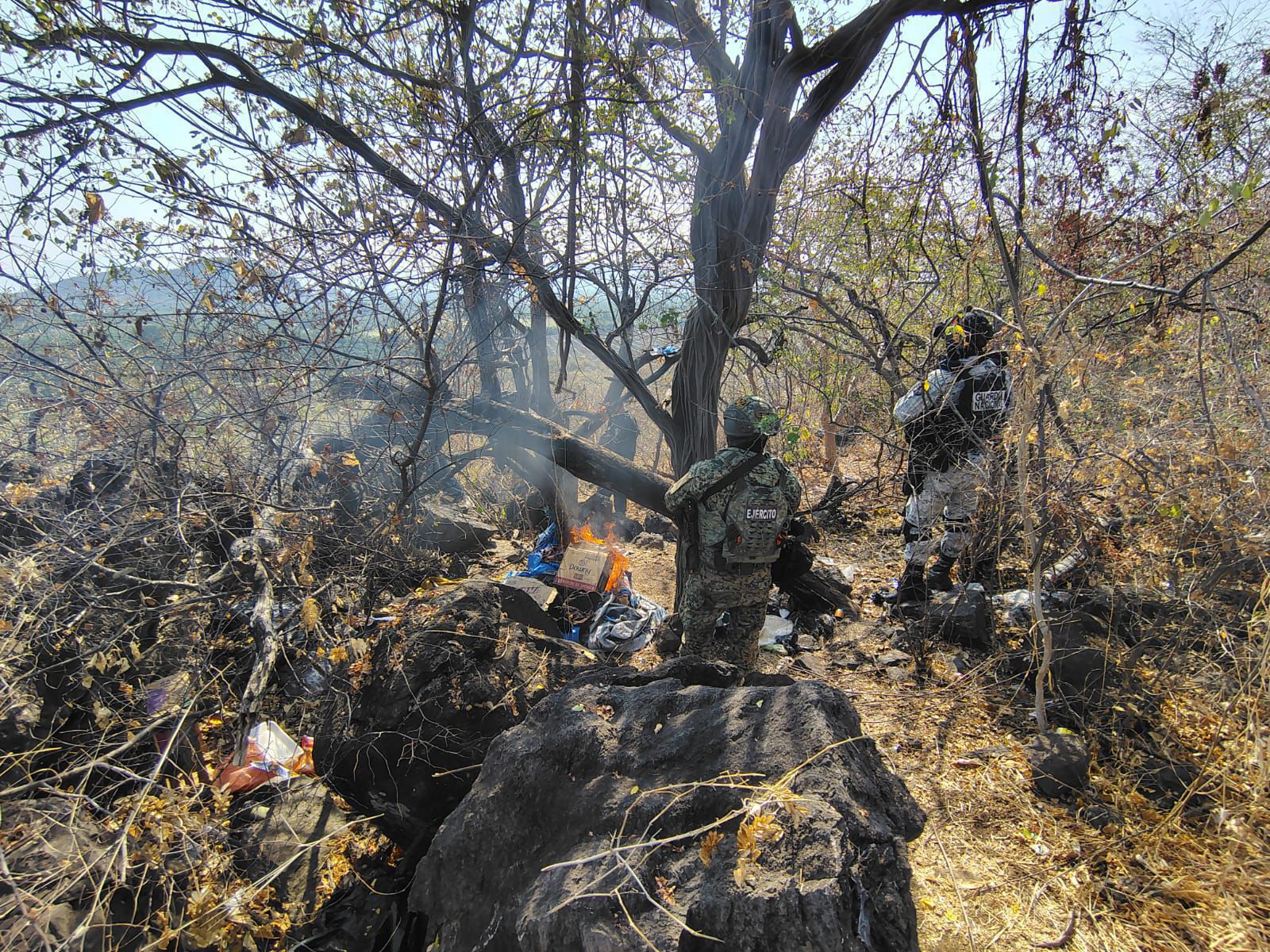 SSP desactiva 15 artefactos explosivos y destruye campamento clandestino en Apatzingán