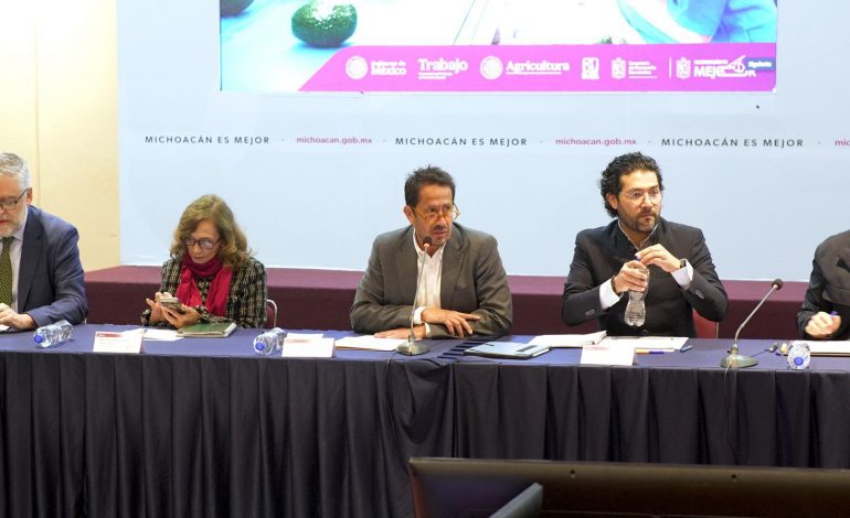 Certificado Laboral Agrícola garantizará salud y seguridad social en zonas aguacateras: Sedeco