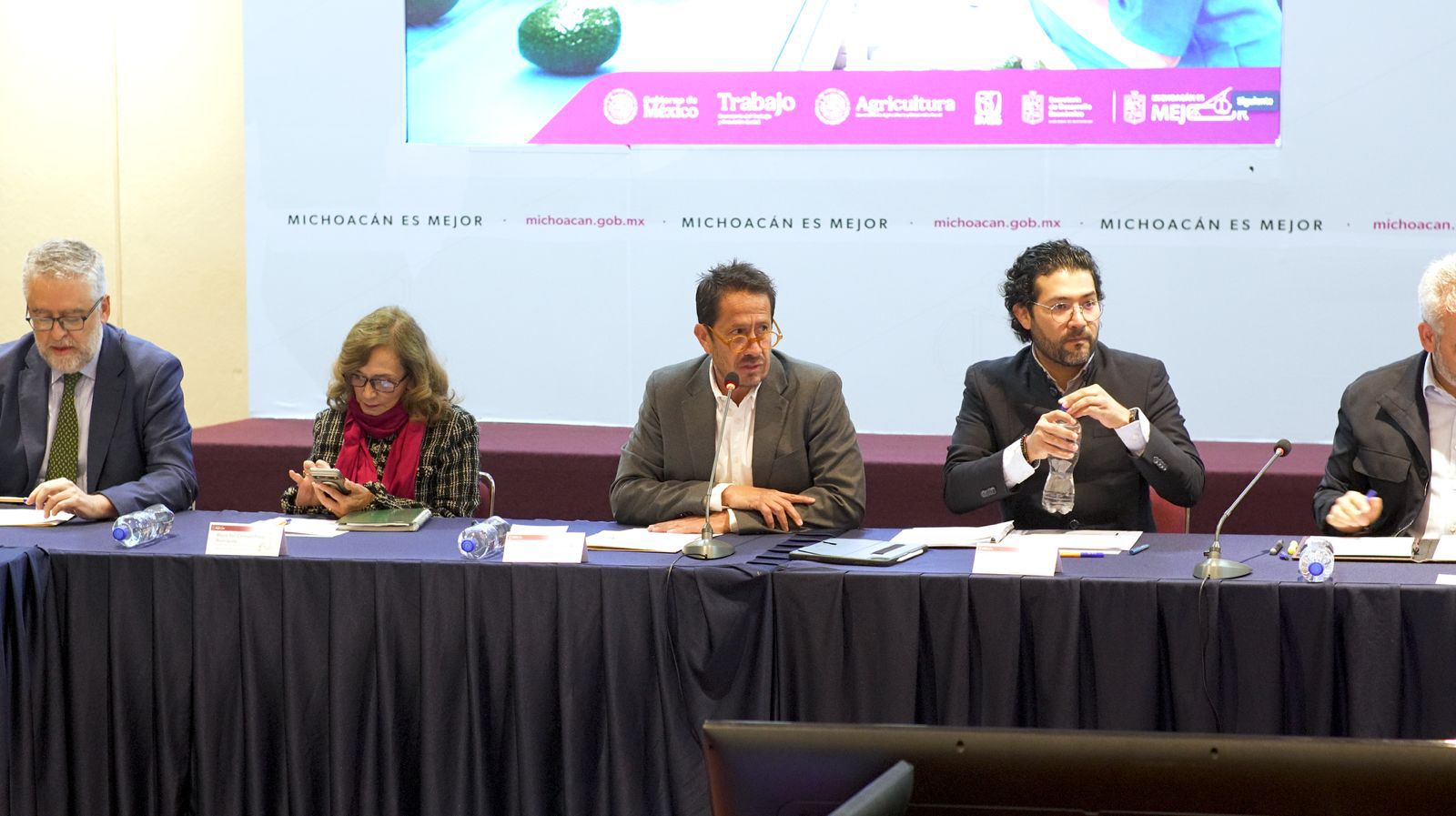 Certificado Laboral Agrícola garantizará salud y seguridad social en zonas aguacateras: Sedeco