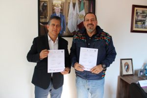 Secma inicia rescate del Pino de Coalcomán, especie única en el mundo