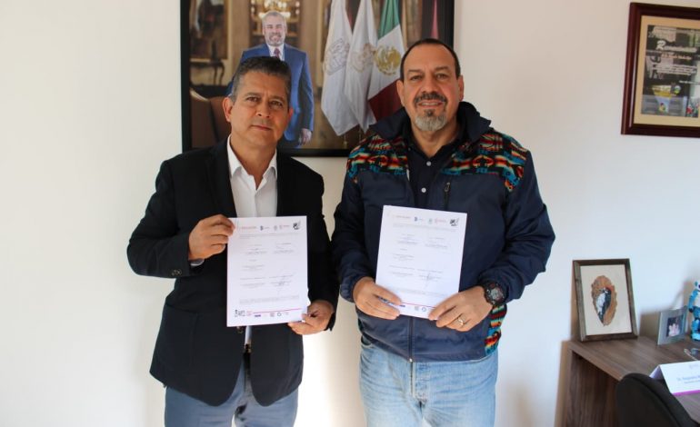 Secma inicia rescate del Pino de Coalcomán, especie única en el mundo