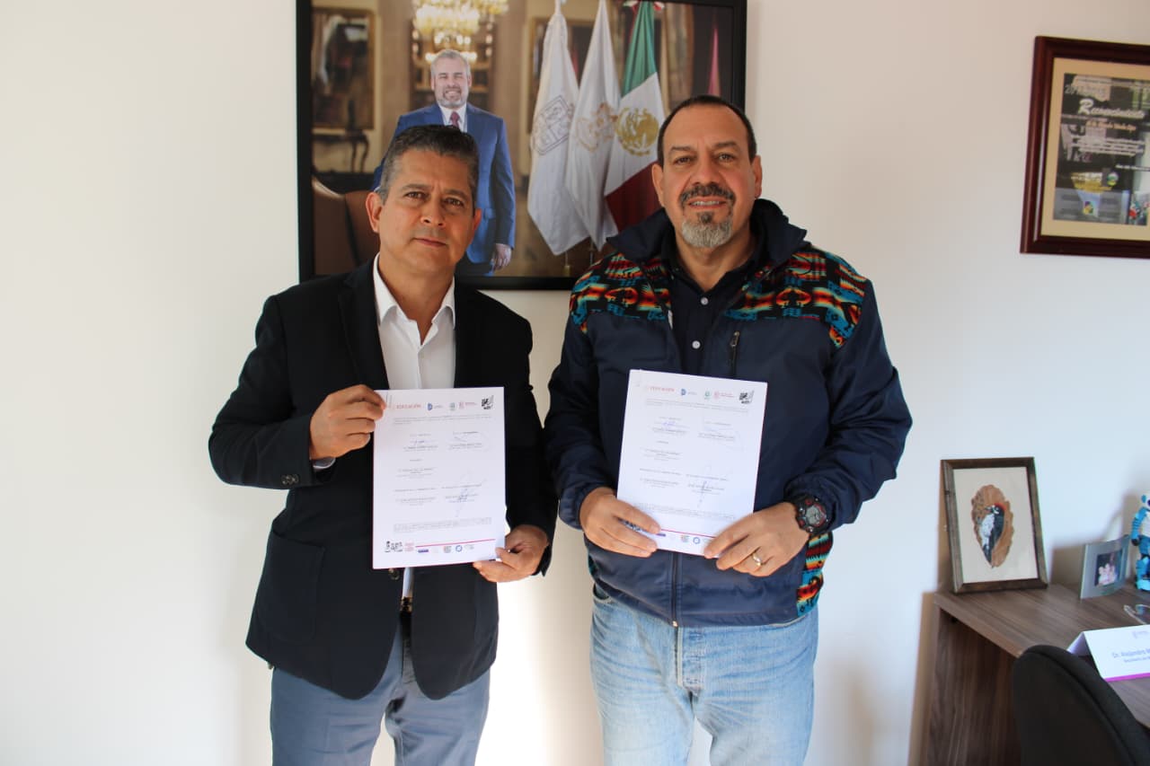 Secma inicia rescate del Pino de Coalcomán, especie única en el mundo