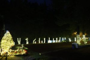 Recibe el Año Nuevo en armonía con la naturaleza en el campamento Rancho Viejo