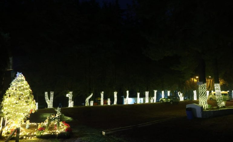 Recibe el Año Nuevo en armonía con la naturaleza en el campamento Rancho Viejo