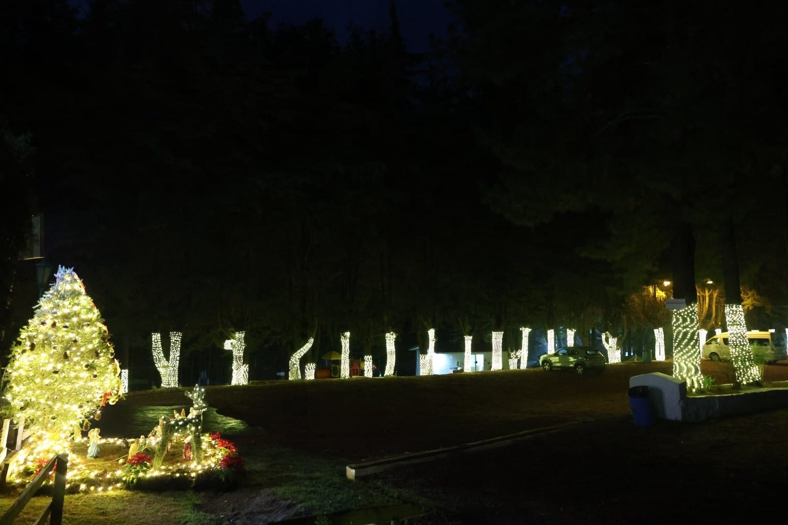 Recibe el Año Nuevo en armonía con la naturaleza en el campamento Rancho Viejo