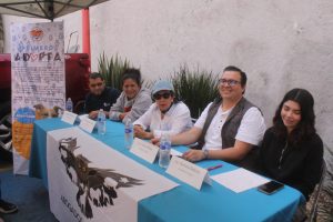 Encienden esperanza: GHAPAD convoca apoyo para alimentar 2 mil 500 peludos en esta Navidad y Año Nuevo