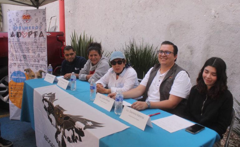 Encienden esperanza: GHAPAD convoca apoyo para alimentar 2 mil 500 peludos en esta Navidad y Año Nuevo