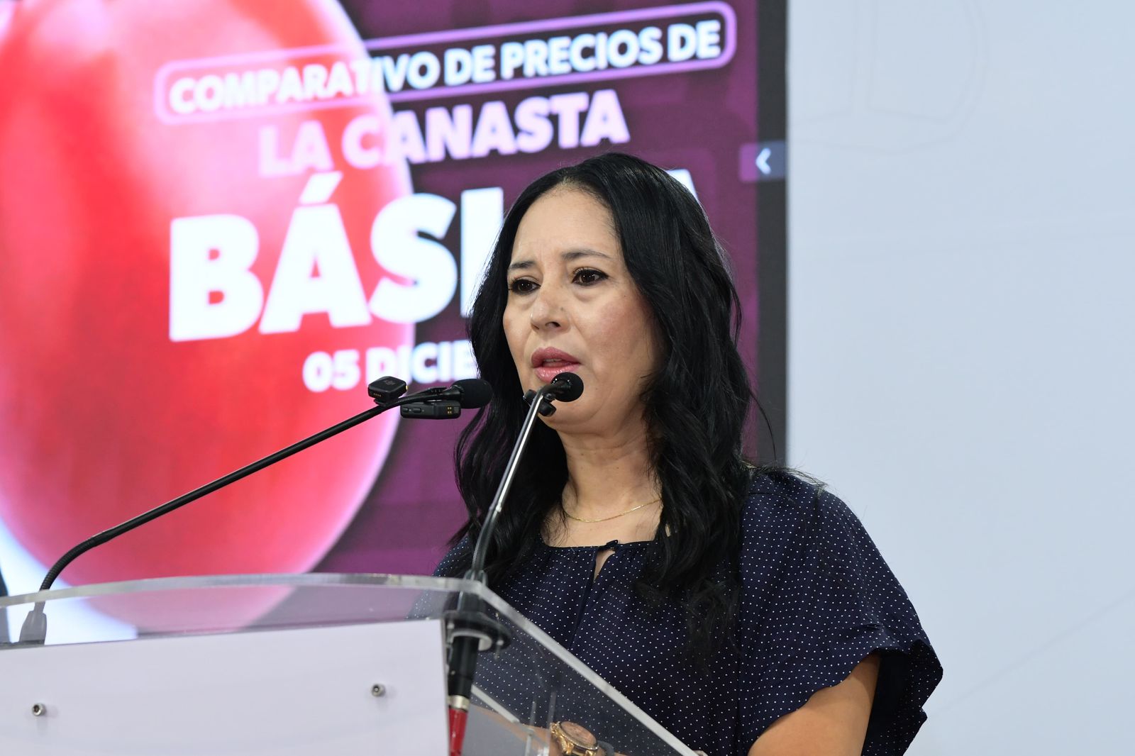 Michoacán mantiene precios estables en la canasta básica: Sedeco