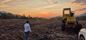 Histórica inversión de 353 millones de pesos para transformar el sector cañero en Michoacán