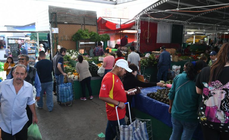 Tianguis de la Feria de Morelia mantiene precio más bajo en canasta básica: Sedeco