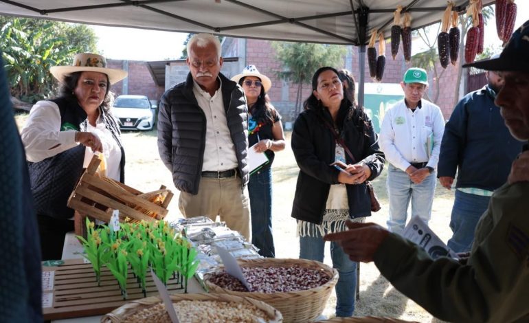 Programas federales beneficiarán al campo michoacano en 2026: Sader