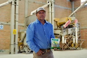 Lenteja michoacana se venderá en 25 mil tiendas del Bienestar en todo el país: Sader