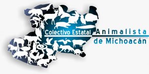 Lanza UARUPA campaña social “Perro de nadie es de todos”, convoca a la corresponsabilidad ciudadana*