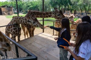 ¡Vive unas vacaciones inolvidables en el Zoológico de Morelia!