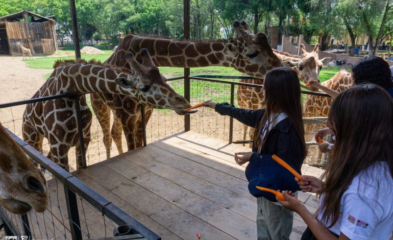 ¡Vive unas vacaciones inolvidables en el Zoológico de Morelia!