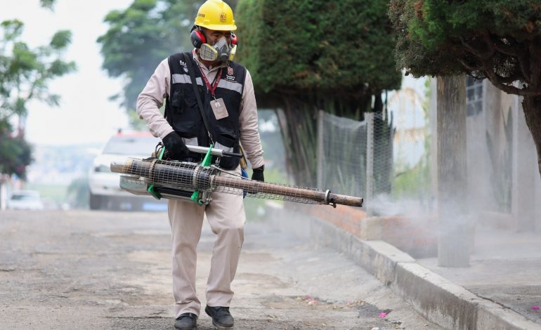 SSM llama a no bajar la guardia contra el dengue en invierno