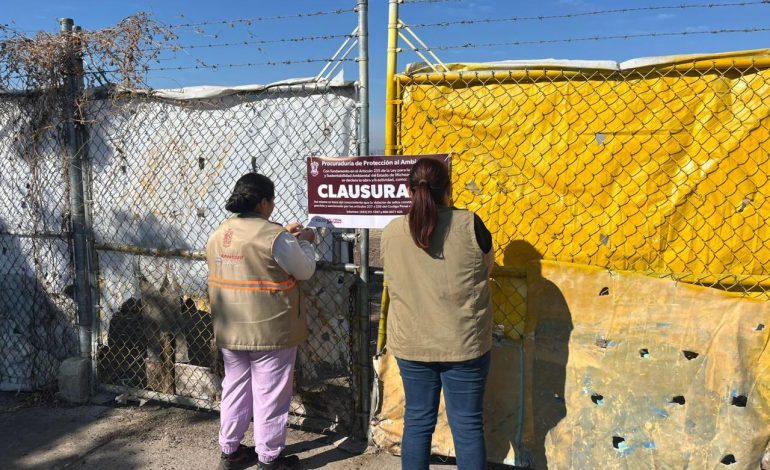 Proam cierra el año con 220 operativos y multas por 2 mdp  para proteger el ambiente