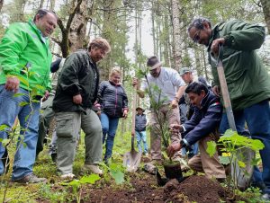 Michoacán alcanza meta histórica con más de 10 millones de árboles plantados en 2025