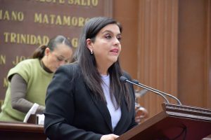 Pide diputada Tere Herrera liberar recursos del FAEISPUM y FORTAPAZ en apoyo a municipios