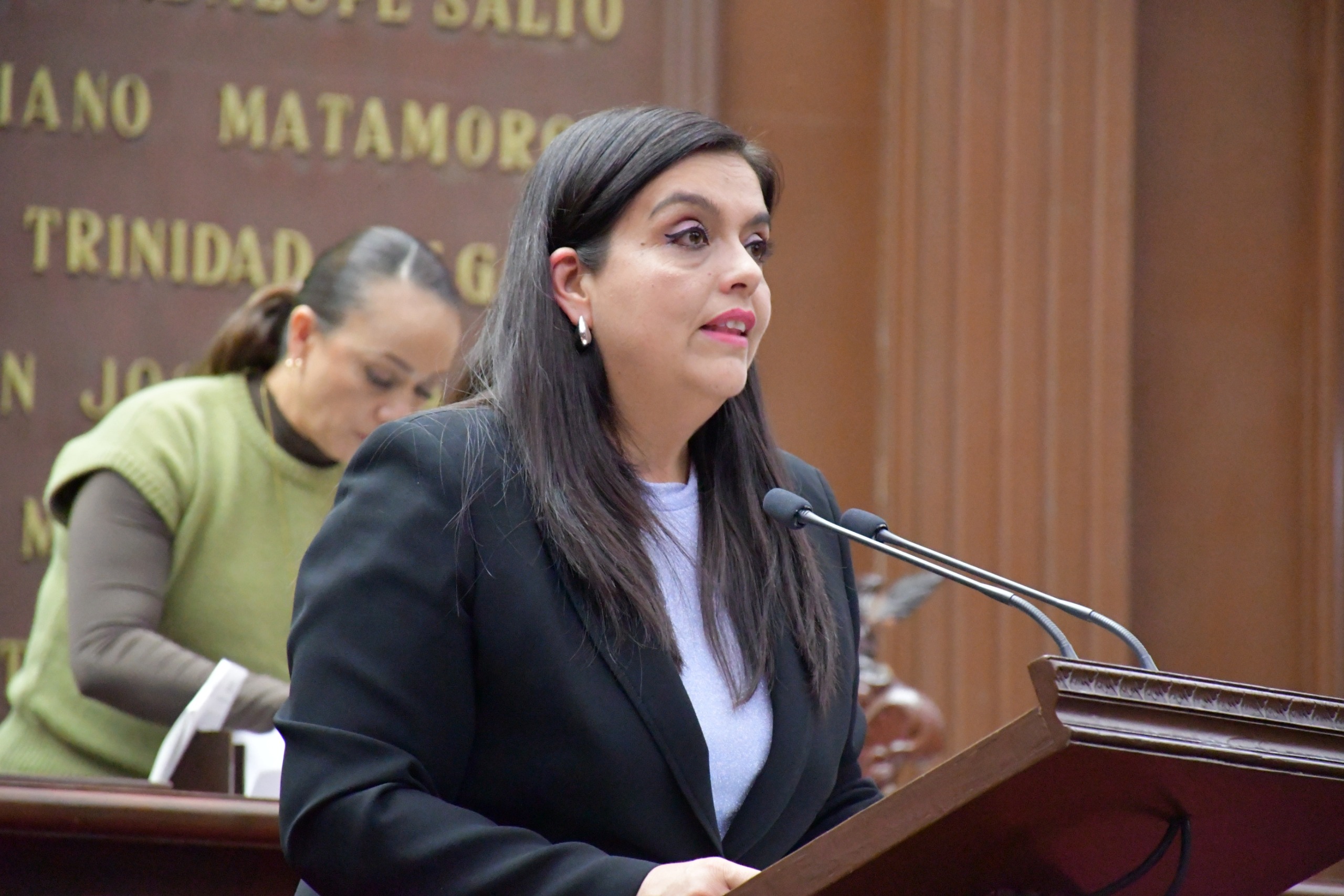 Pide diputada Tere Herrera liberar recursos del FAEISPUM y FORTAPAZ en apoyo a municipios