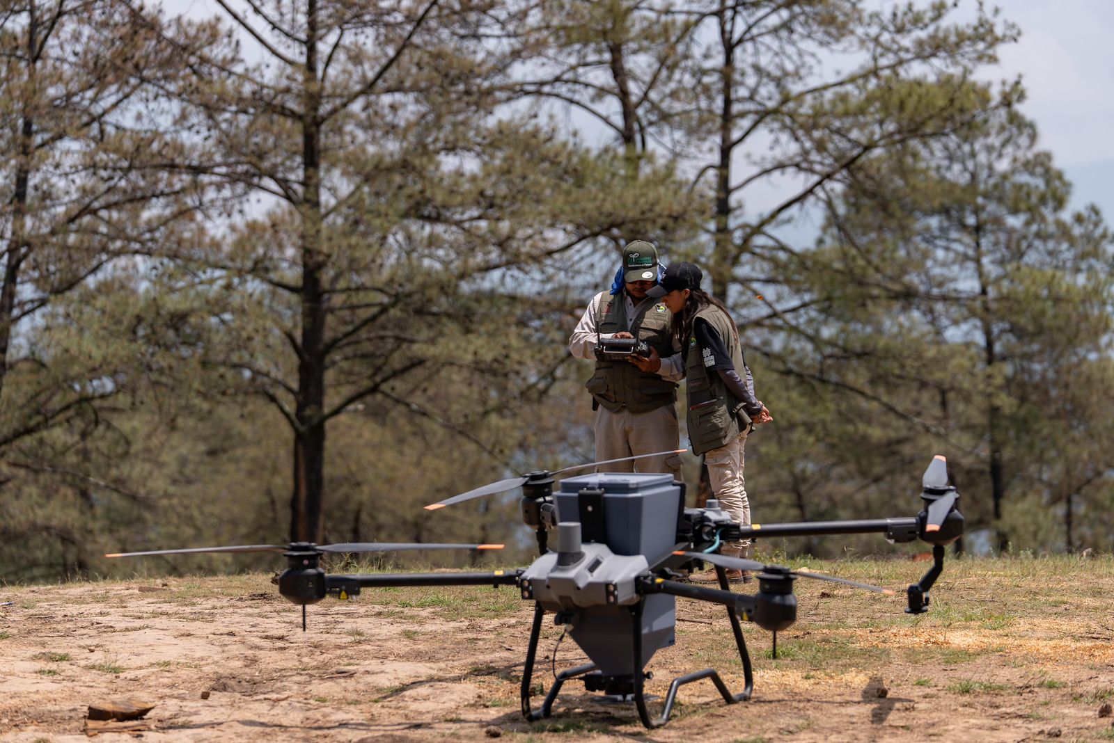 Bosques se fortalecieron con 360 mil semillas dispersadas vía dron en reforestación 2025: Cofom.