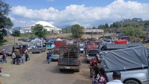 Alza en costos marca el inicio del Tianguis Ganadero en Zitácuaro