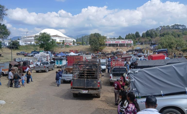 Alza en costos marca el inicio del Tianguis Ganadero en Zitácuaro