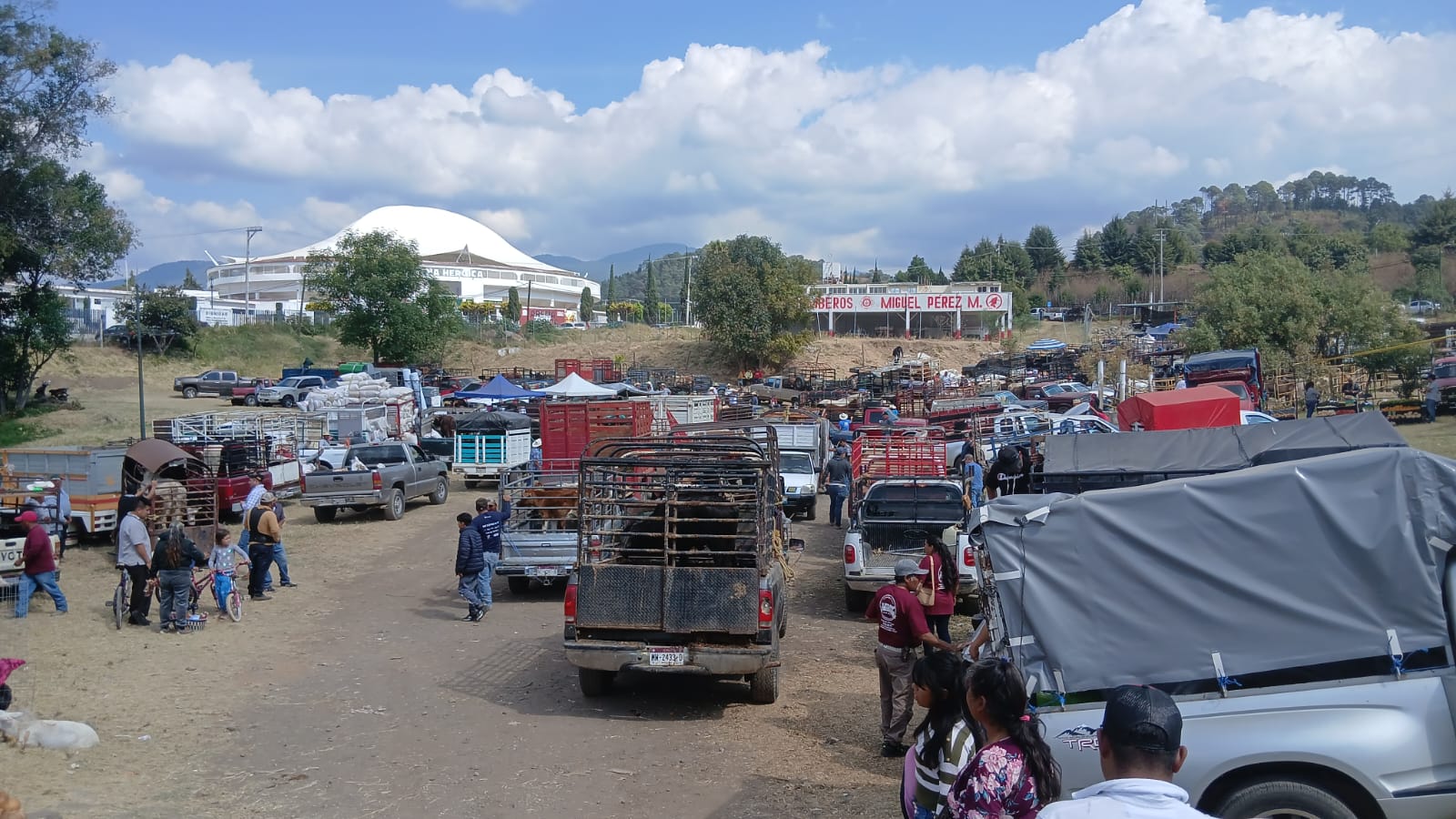 Alza en costos marca el inicio del Tianguis Ganadero en Zitácuaro