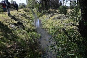 Encabeza Conagua Michoacán operativo contra huachicol en el lago de Pátzcuaro