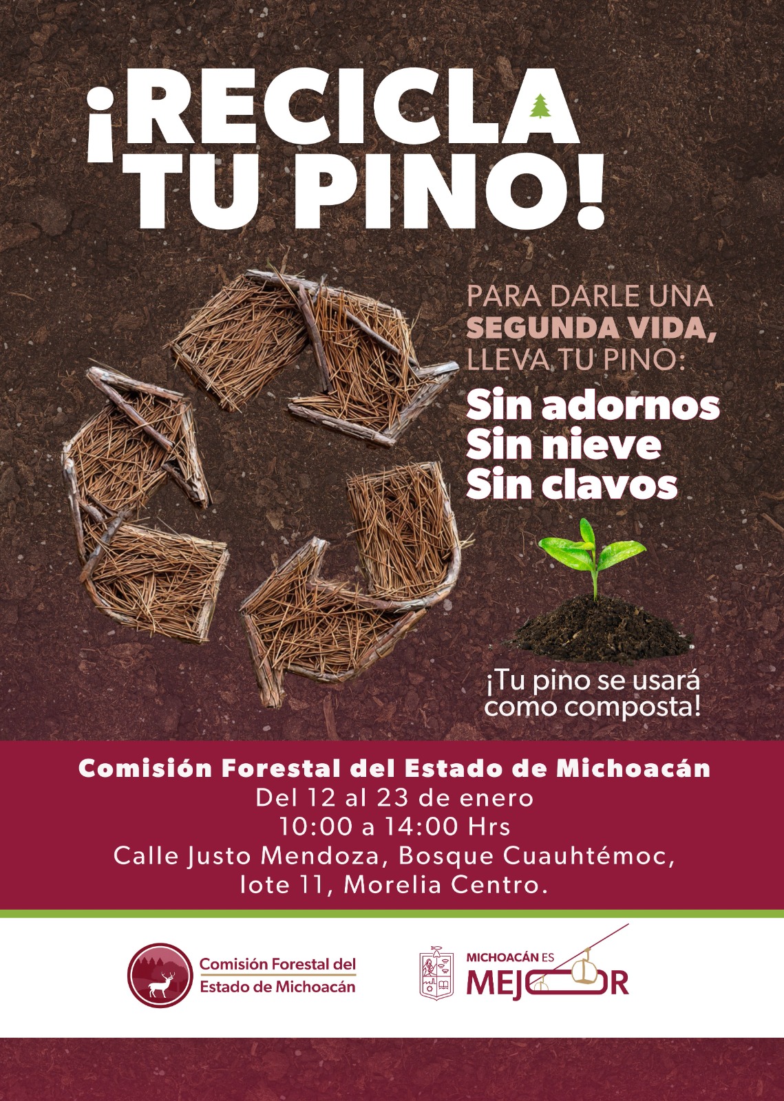 ¡No tires tu arbolito de Navidad! Únete a la campaña de reciclaje de la Cofom