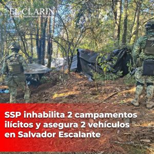SSP inhabilita 2 campamentos ilícitos y asegura 2 vehículos en Salvador Escalante