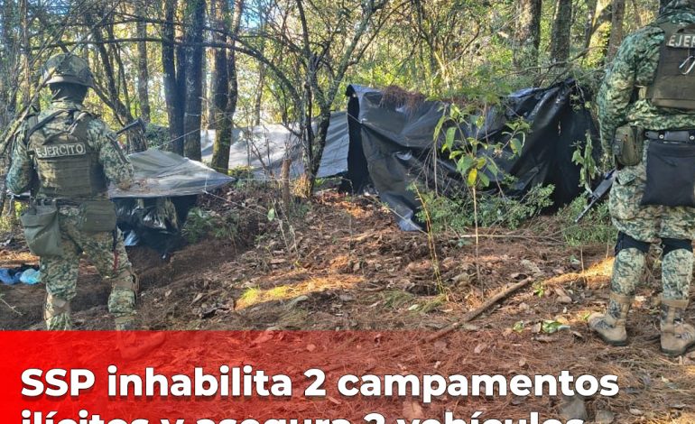 SSP inhabilita 2 campamentos ilícitos y asegura 2 vehículos en Salvador Escalante