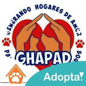 Para avanzar en el trato digno a los animales se requieren funcionarios empáticos y una sociedad consciente: GHAPAD