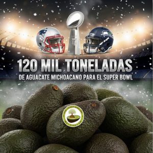 Michoacán enviará más de 120 mil toneladas de aguacate para el Super Bowl: Bedolla