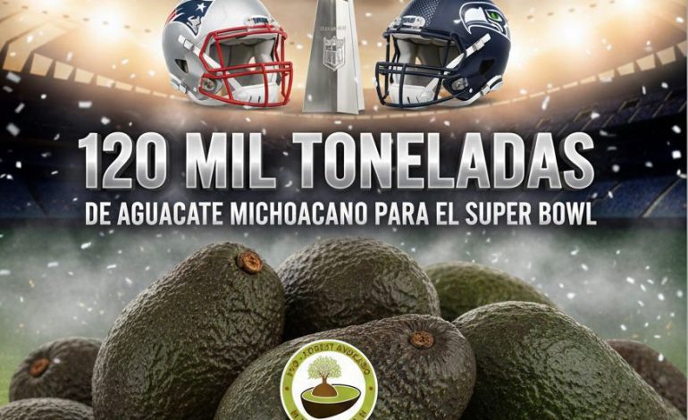 Michoacán enviará más de 120 mil toneladas de aguacate para el Super Bowl: Bedolla