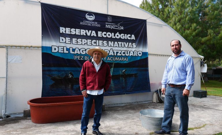Michoacán busca sembrar vida con 200 mil peces nativos en el lago de Pátzcuaro