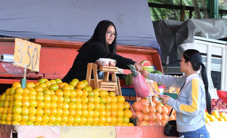 Familias michoacanas pueden ahorrar hasta 485 pesos en la canasta básica: Sedeco