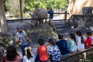 Aprende con el elefante Chamberú, el Zoológico de Morelia te invita a Un día en el aula viva