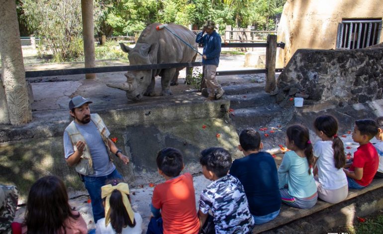 Aprende con el elefante Chamberú, el Zoológico de Morelia te invita a Un día en el aula viva