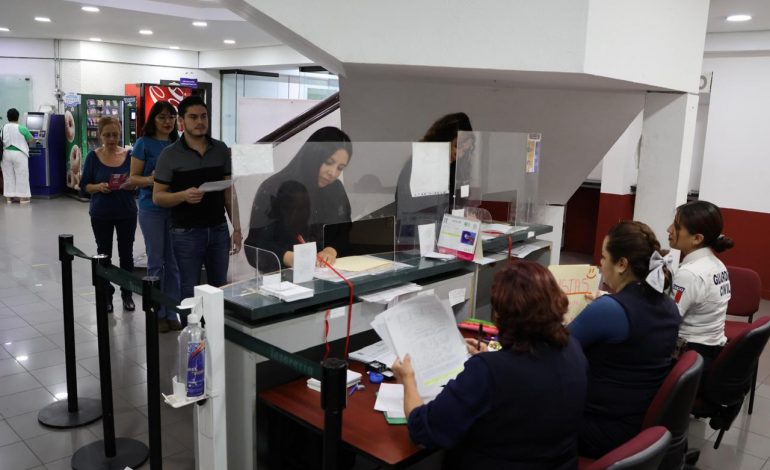 El Satmich previene sobre gestión de licencias de conducir falsas