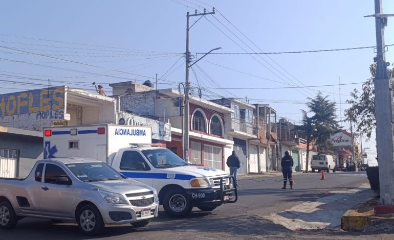 Pirotecnia provoca incendio de palmera y pone en riesgo a vecinos en Ciudad Hidalgo