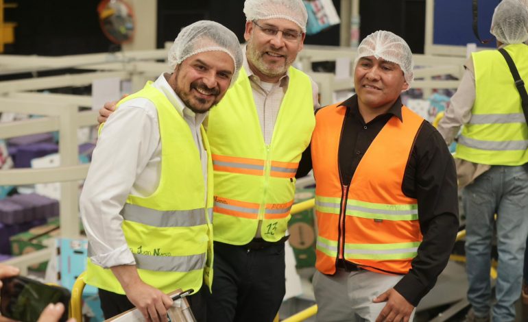 Guardián Forestal frena exportación de 2 mil huertas de aguacate por deforestación: Bedolla.