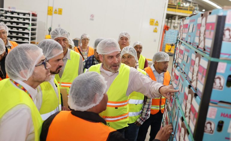 Guardián Forestal frena exportación de 2 mil huertas de aguacate por deforestación: Bedolla.